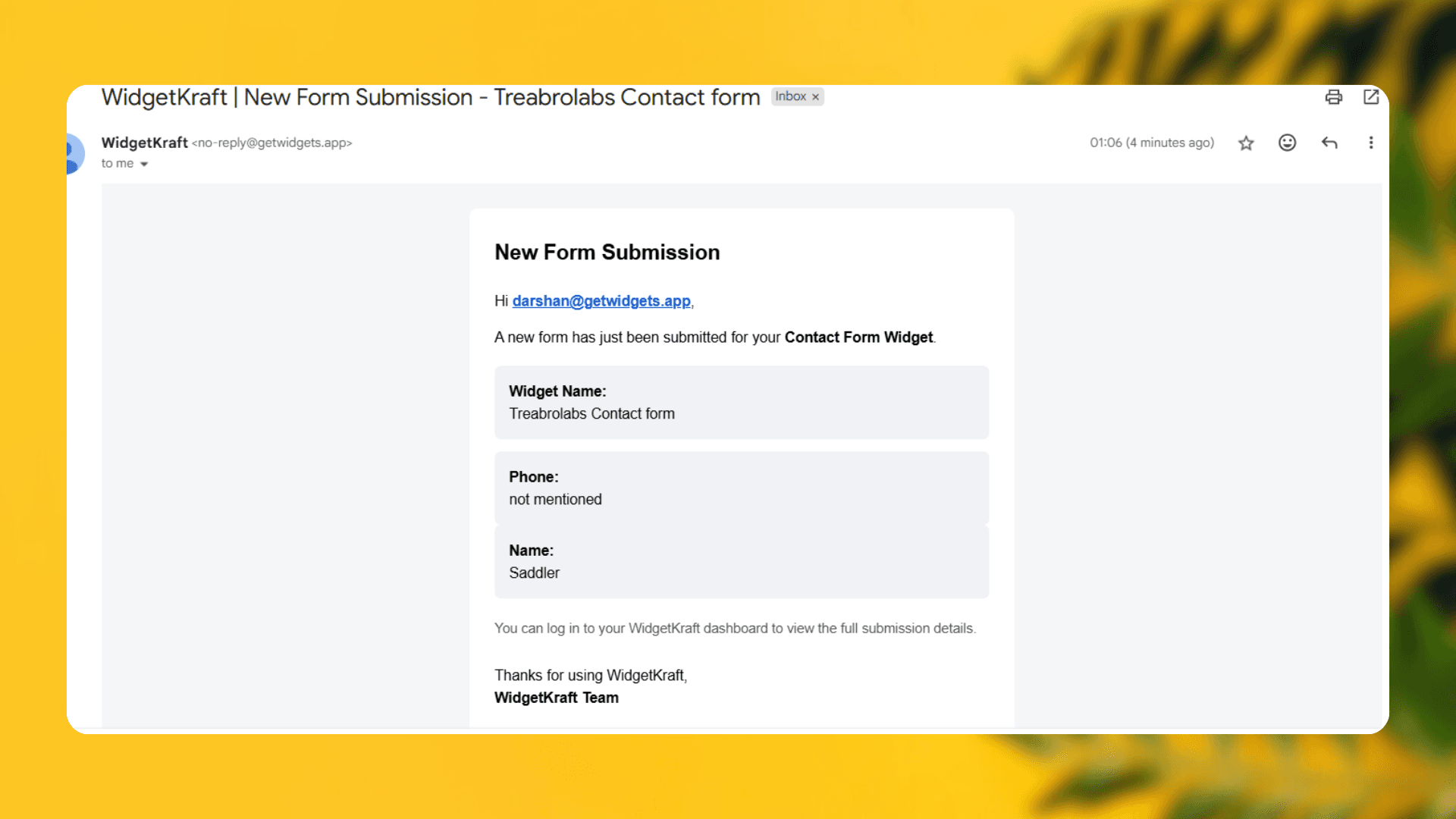 Email notification showing form submission with full contact details